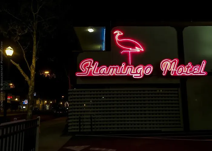 The Flamingo Motel San Jose